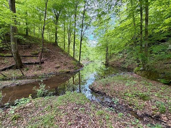 369 Acres of Recreational & Residential Land for Sale in Louisa, Kentucky