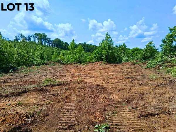 16.7 Acres of Agricultural Land for Auction in Bath Springs, Tennessee