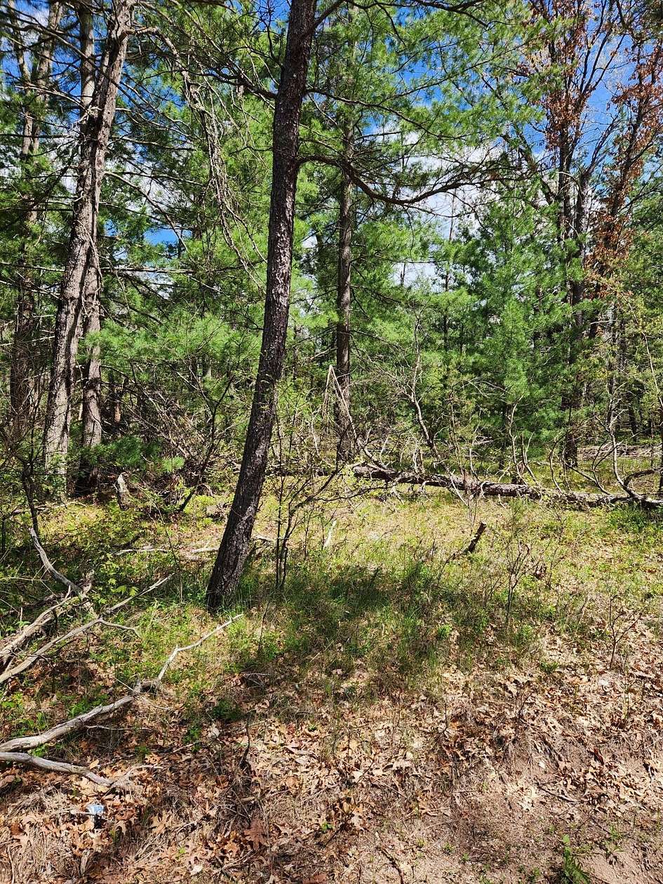 0.23 Acres of Land for Sale in Idlewild, Michigan