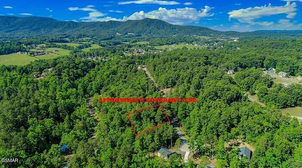 0.59 Acres of Residential Land for Sale in Newport, Tennessee
