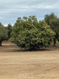 1 Acre of Residential Land for Sale in Merced, California