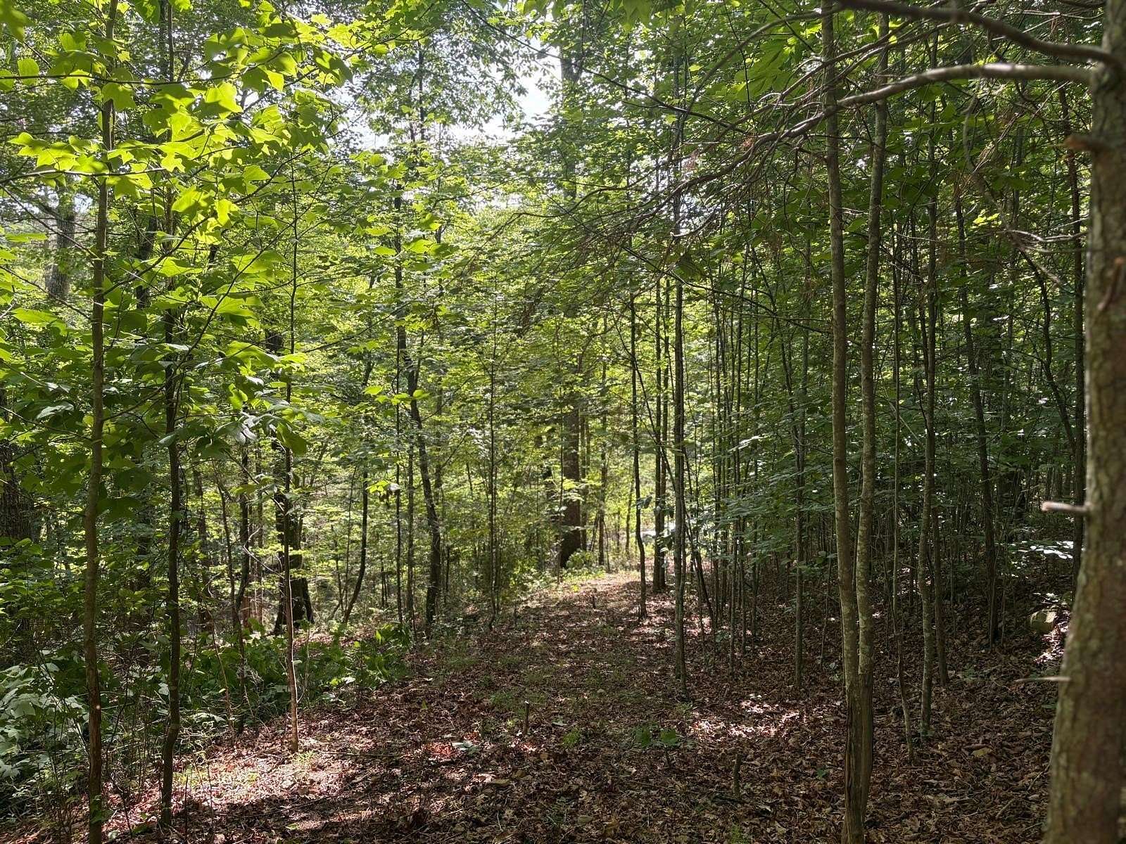 1.8 Acres of Land for Sale in Dunlap, Tennessee