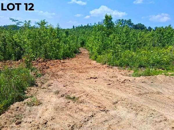 12 Acres of Agricultural Land for Auction in Bath Springs, Tennessee