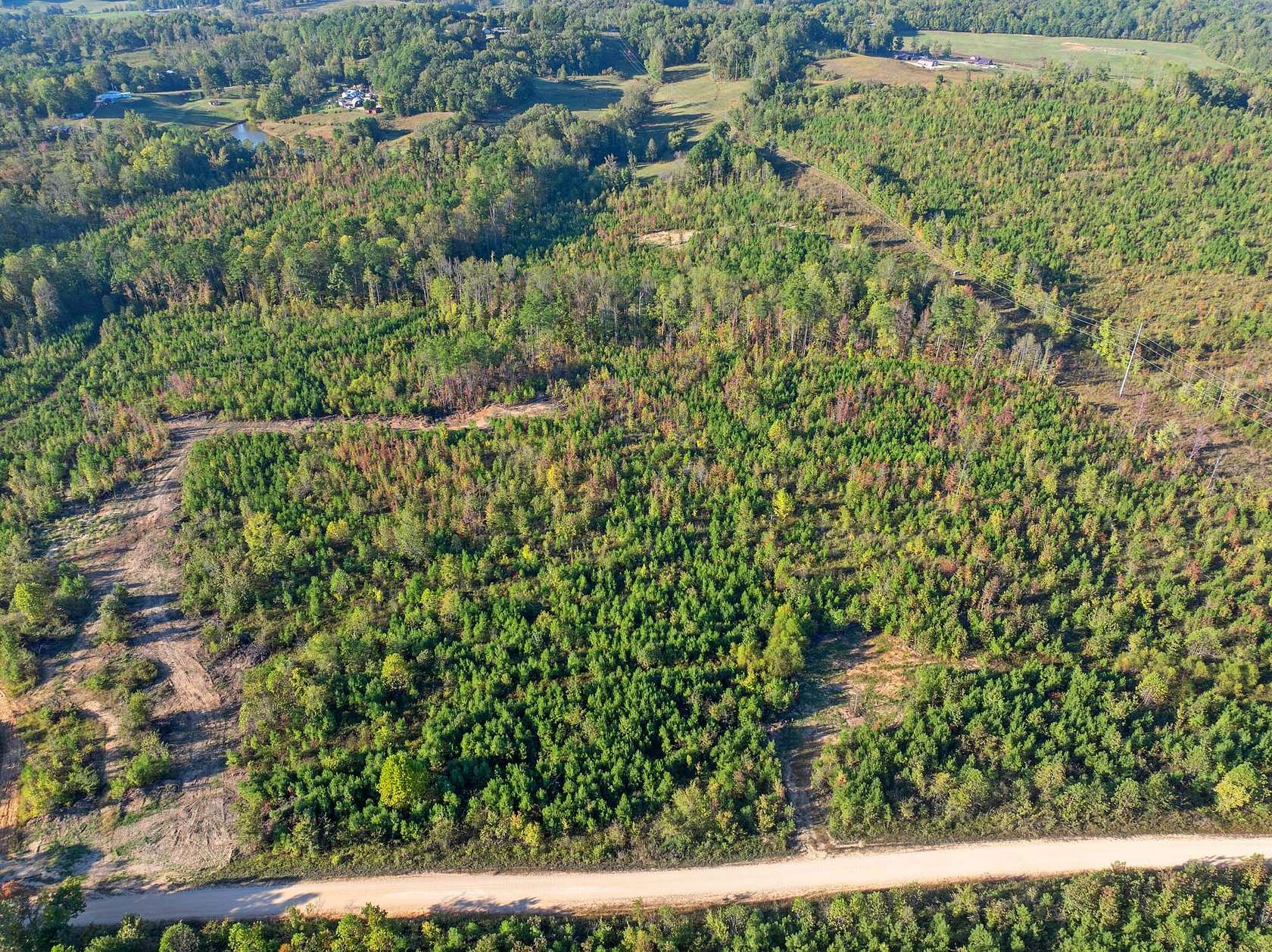 26.5 Acres of Agricultural Land for Auction in Bath Springs, Tennessee