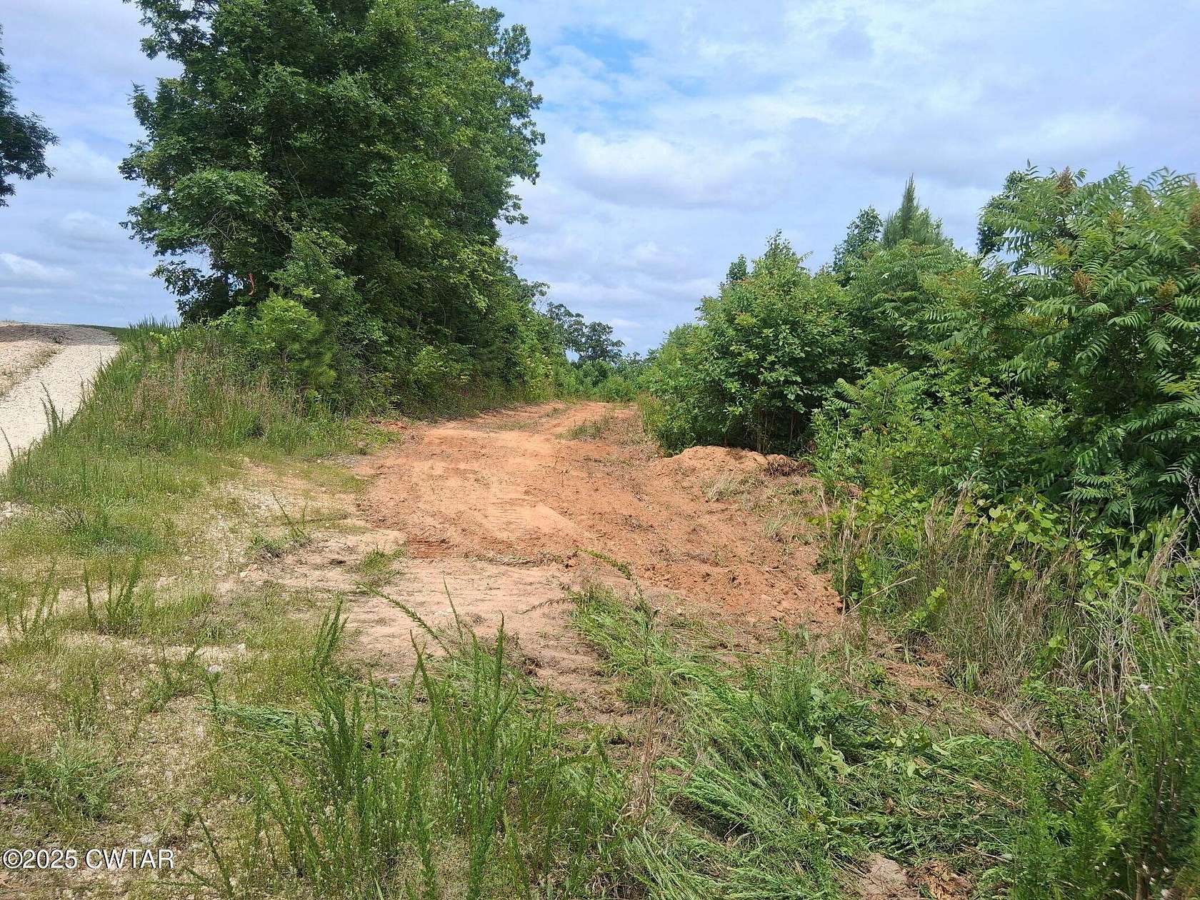 16.5 Acres of Agricultural Land for Auction in Bath Springs, Tennessee