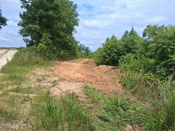 16.5 Acres of Agricultural Land for Auction in Bath Springs, Tennessee