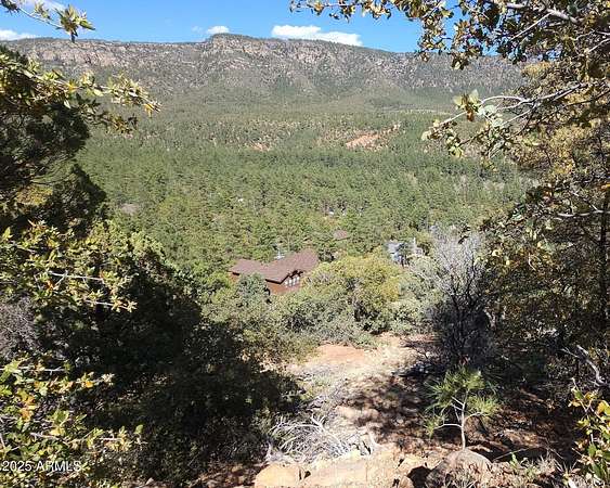 0.46 Acres of Residential Land for Sale in Pine, Arizona