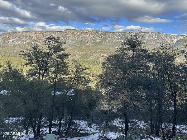 0.46 Acres of Residential Land for Sale in Pine, Arizona