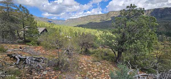 0.46 Acres of Residential Land for Sale in Pine, Arizona