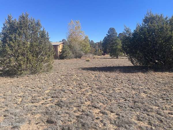 0.28 Acres of Residential Land for Sale in Overgaard, Arizona