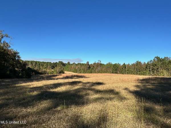 10 Acres of Land for Sale in Braxton, Mississippi