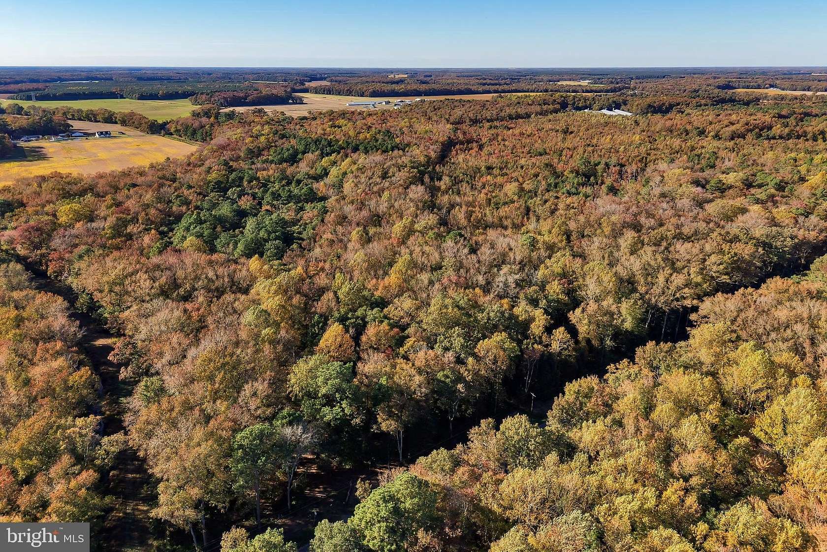 36.7 Acres of Recreational Land for Sale in Frankford, Delaware