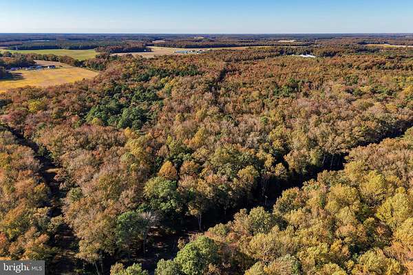36.7 Acres of Recreational Land for Sale in Frankford, Delaware