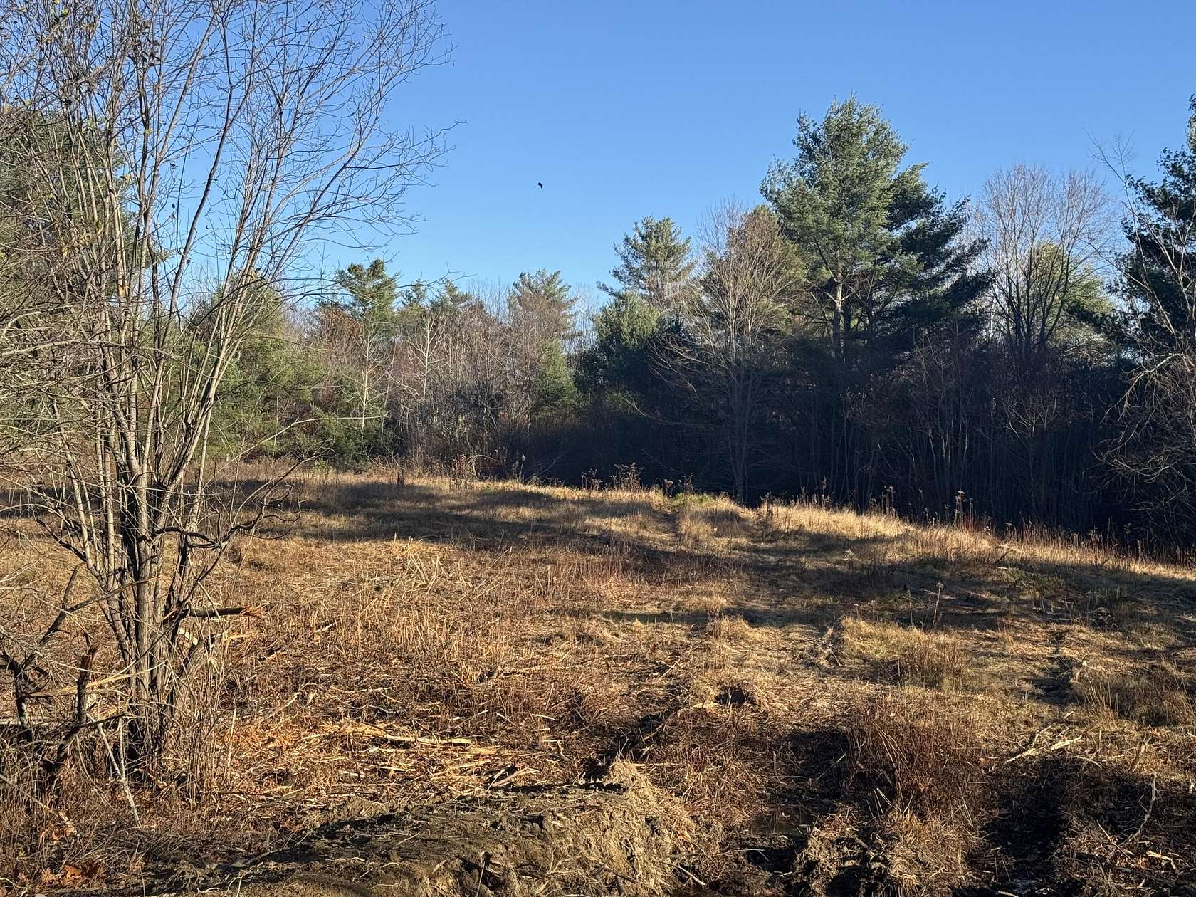 2 Acres of Residential Land for Sale in Cumberland Town, Maine