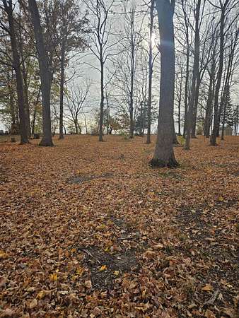 0.34 Acres of Residential Land for Sale in Davis, Illinois