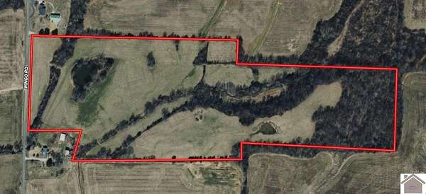 49 Acres of Land for Sale in Wingo, Kentucky