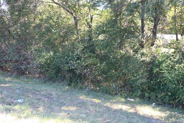 0.48 Acres of Land for Sale in Jefferson, Texas