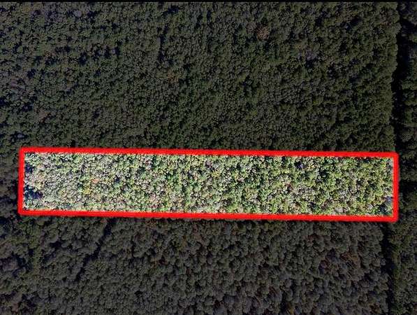 5.73 Acres of Land for Sale in Ashdown, Arkansas
