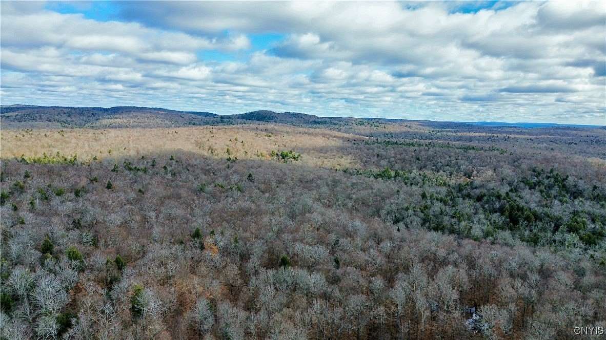 64.2 Acres of Improved Recreational Land for Sale in Little Falls, New York  - LandSearch