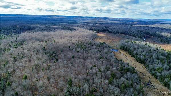 64.2 Acres of Improved Recreational Land for Sale in Little Falls, New York