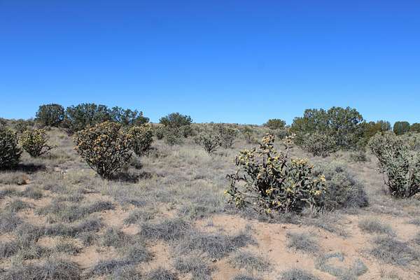 1.5 Acres of Land for Sale in Rio Rancho, New Mexico