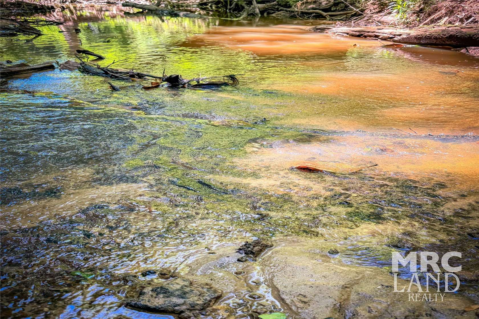 34 Acres of Land for Sale in Center, Texas