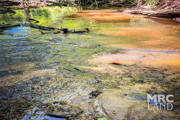 34 Acres of Land for Sale in Center, Texas