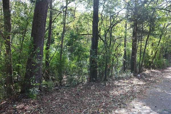 0.2 Acres of Residential Land for Sale in Jefferson, Texas
