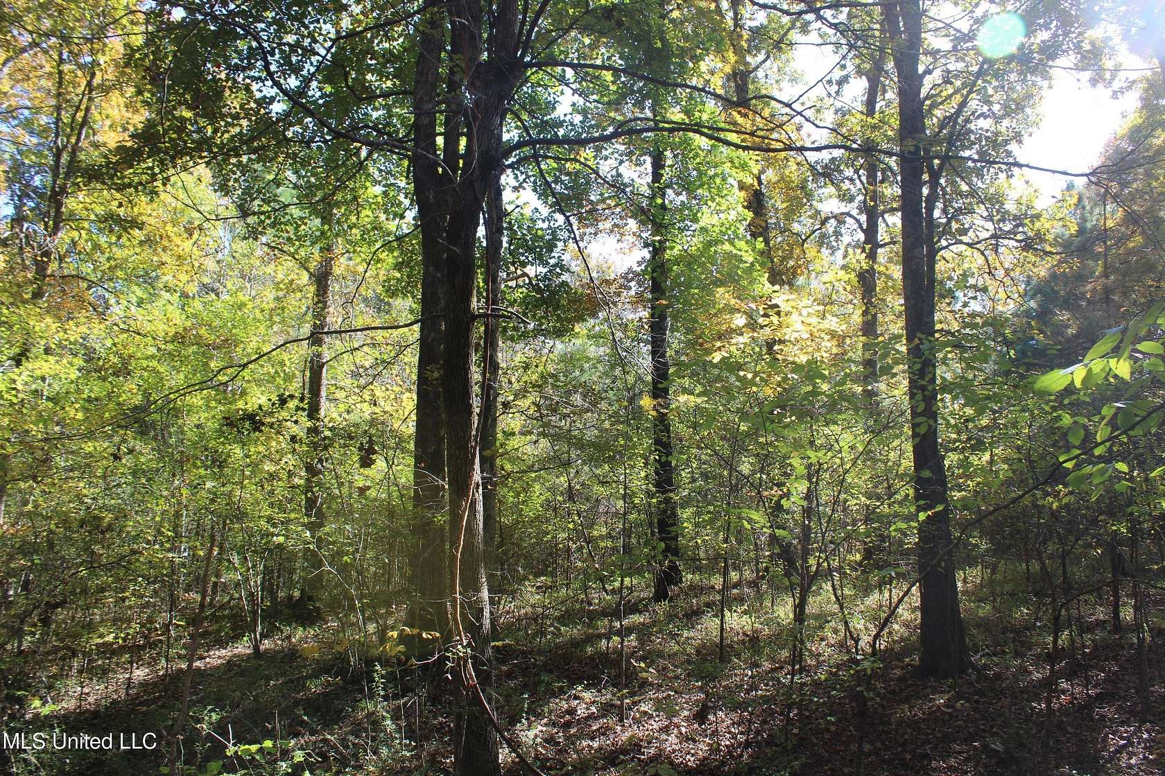 3 Acres of Residential Land for Sale in Byhalia, Mississippi