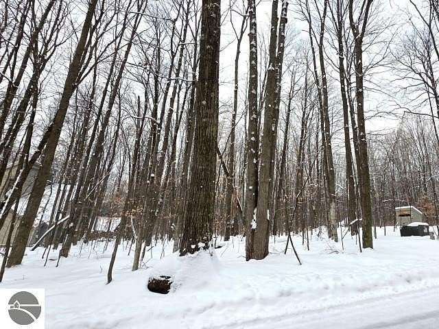 0.35 Acres of Land for Sale in Bellaire, Michigan