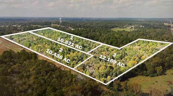 33.4 Acres of Recreational & Residential Land for Sale in Flint, Texas