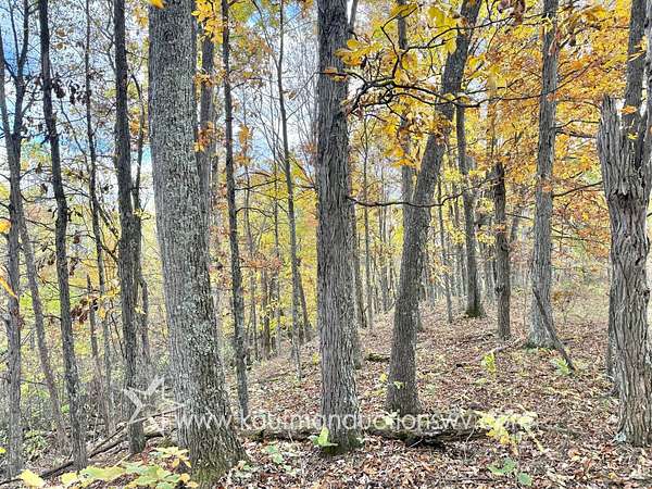 24.6 Acres of Recreational Land for Auction in Clay, West Virginia
