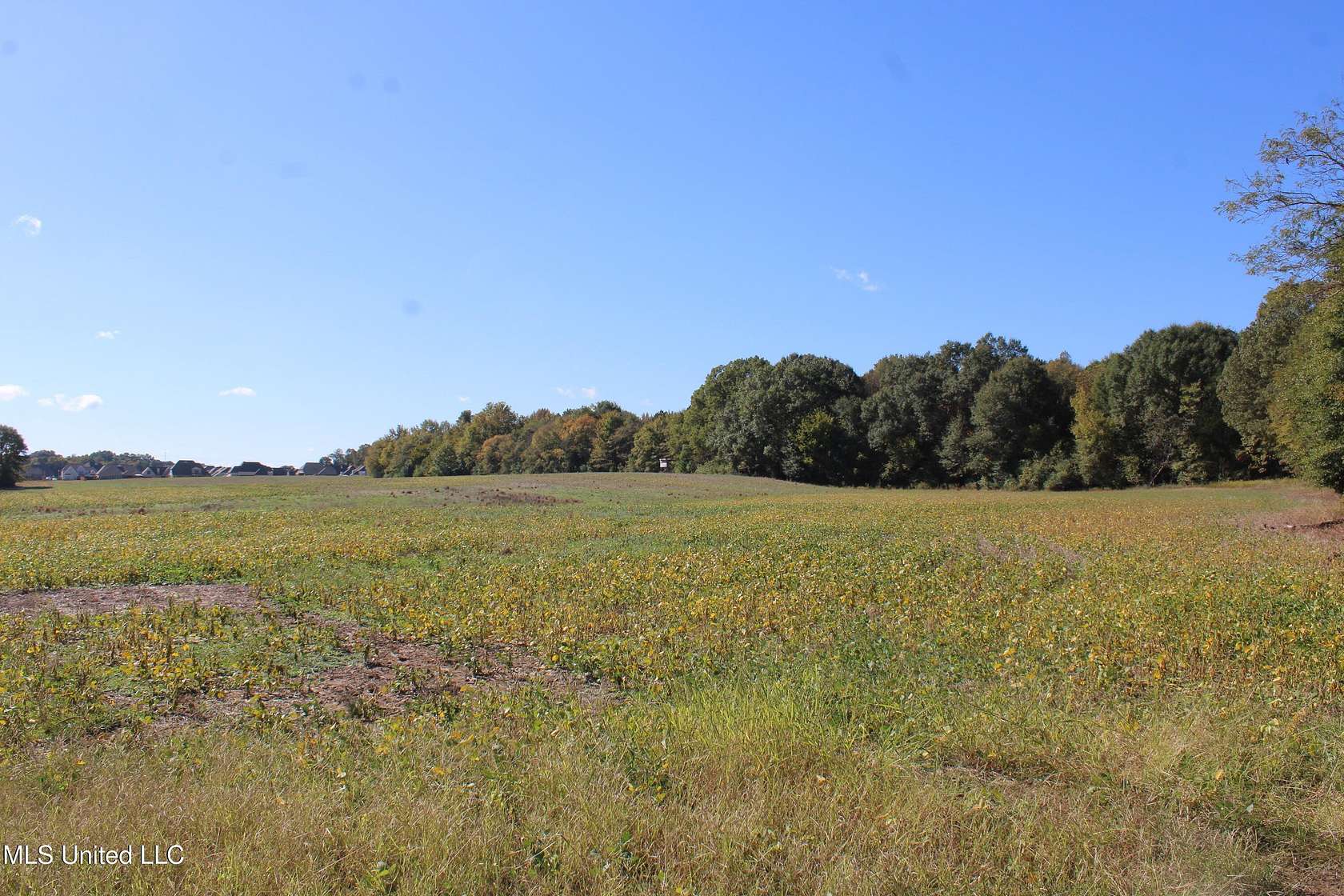 53 Acres of Agricultural Land for Sale in Olive Branch, Mississippi