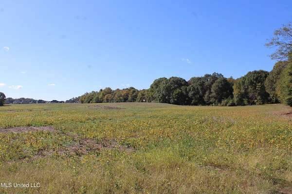 53 Acres of Agricultural Land for Sale in Olive Branch, Mississippi