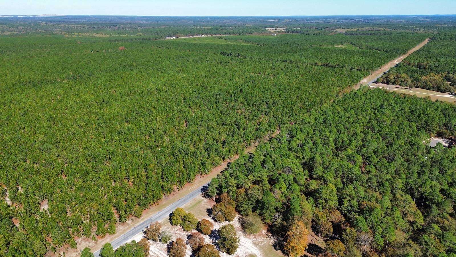 6 Acres of Residential Land for Sale in Kershaw, South Carolina