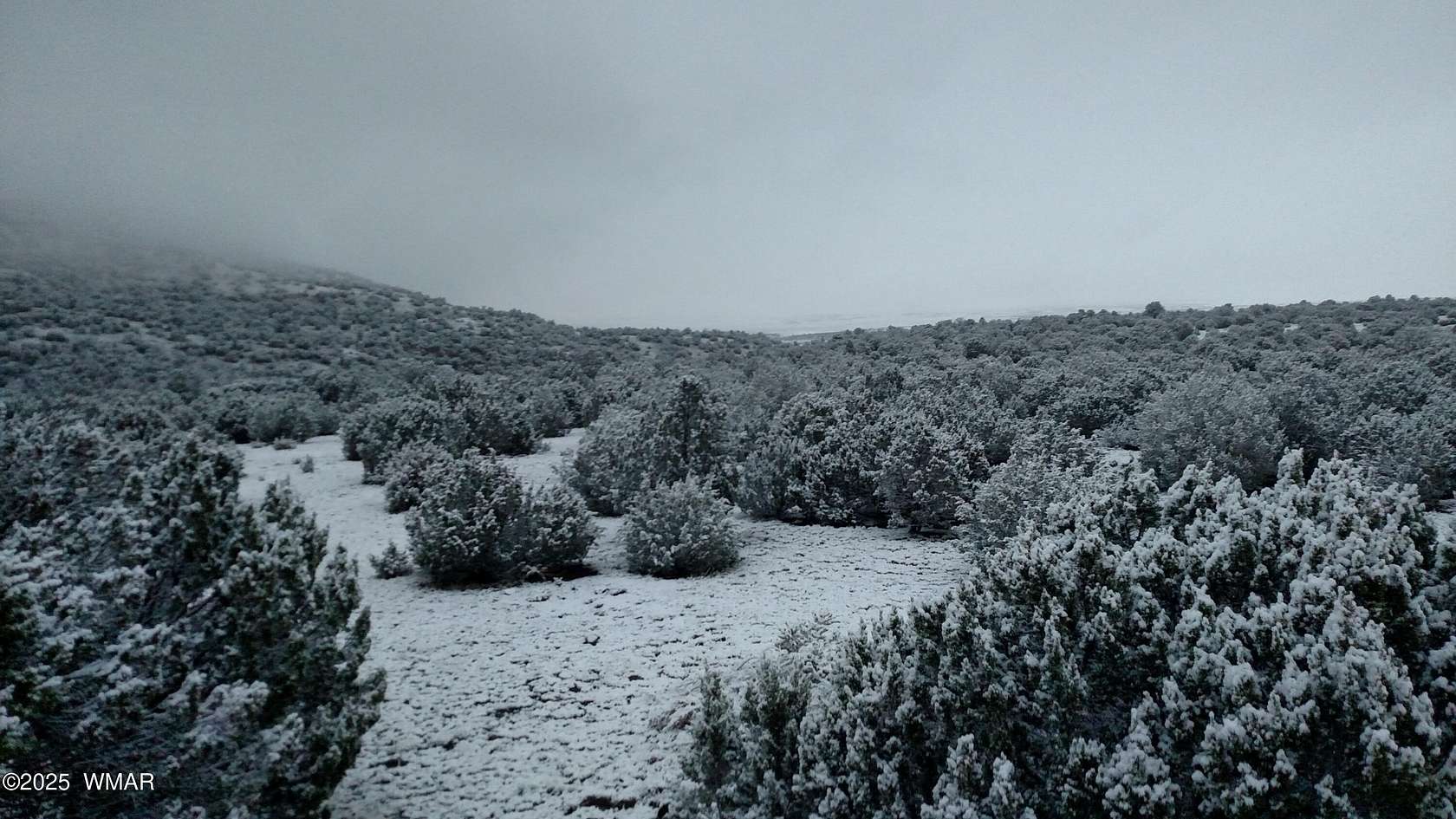 110 Acres of Recreational Land for Sale in Vernon, Arizona