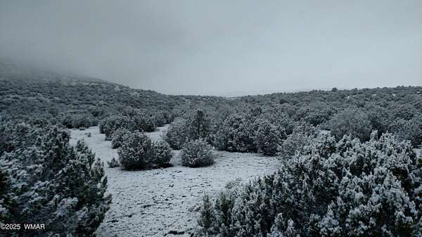 110 Acres of Recreational Land for Sale in Vernon, Arizona