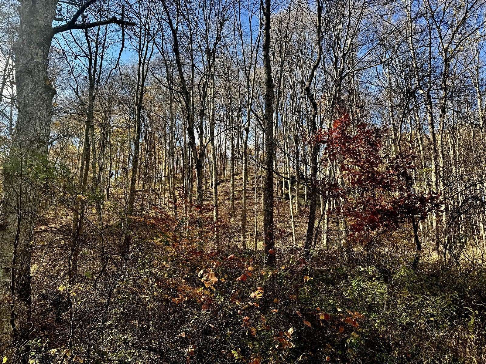 73.8 Acres of Recreational Land for Sale in Racine, Ohio