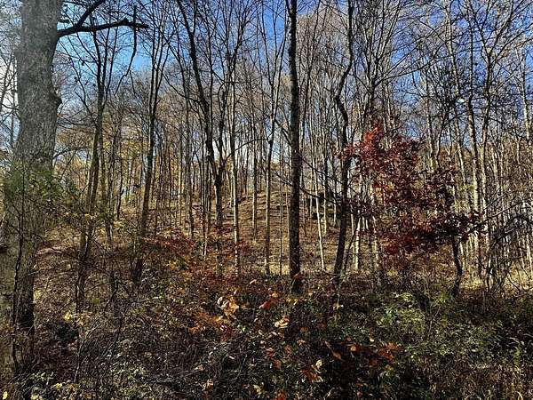 73.8 Acres of Recreational Land for Sale in Racine, Ohio