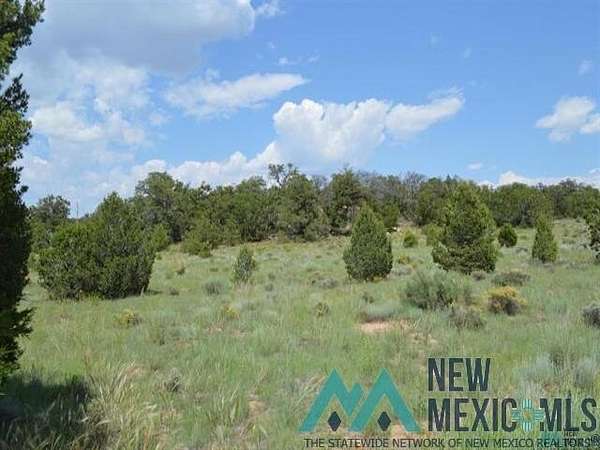 12 Acres of Recreational Land for Sale in Tinaja, New Mexico