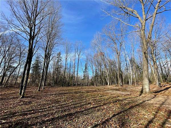 22 Acres of Recreational & Residential Land for Sale in Weyerhaeuser, Wisconsin