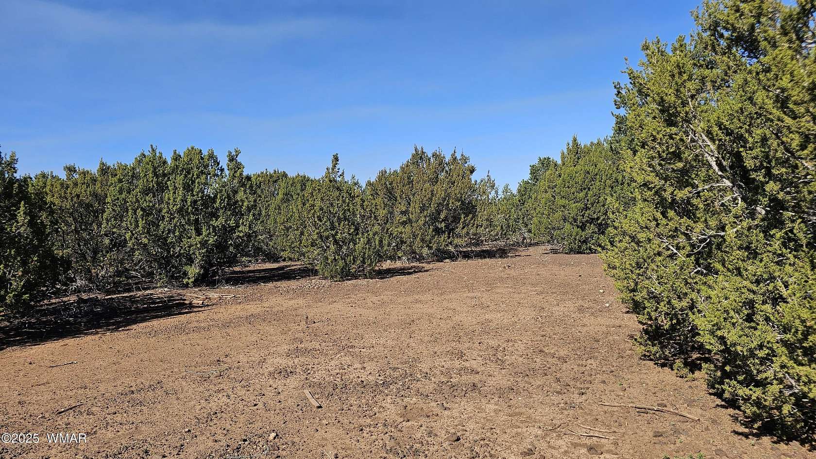 1.4 Acres of Residential Land for Sale in Vernon, Arizona