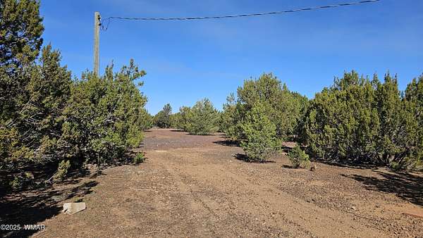 1.4 Acres of Residential Land for Sale in Vernon, Arizona