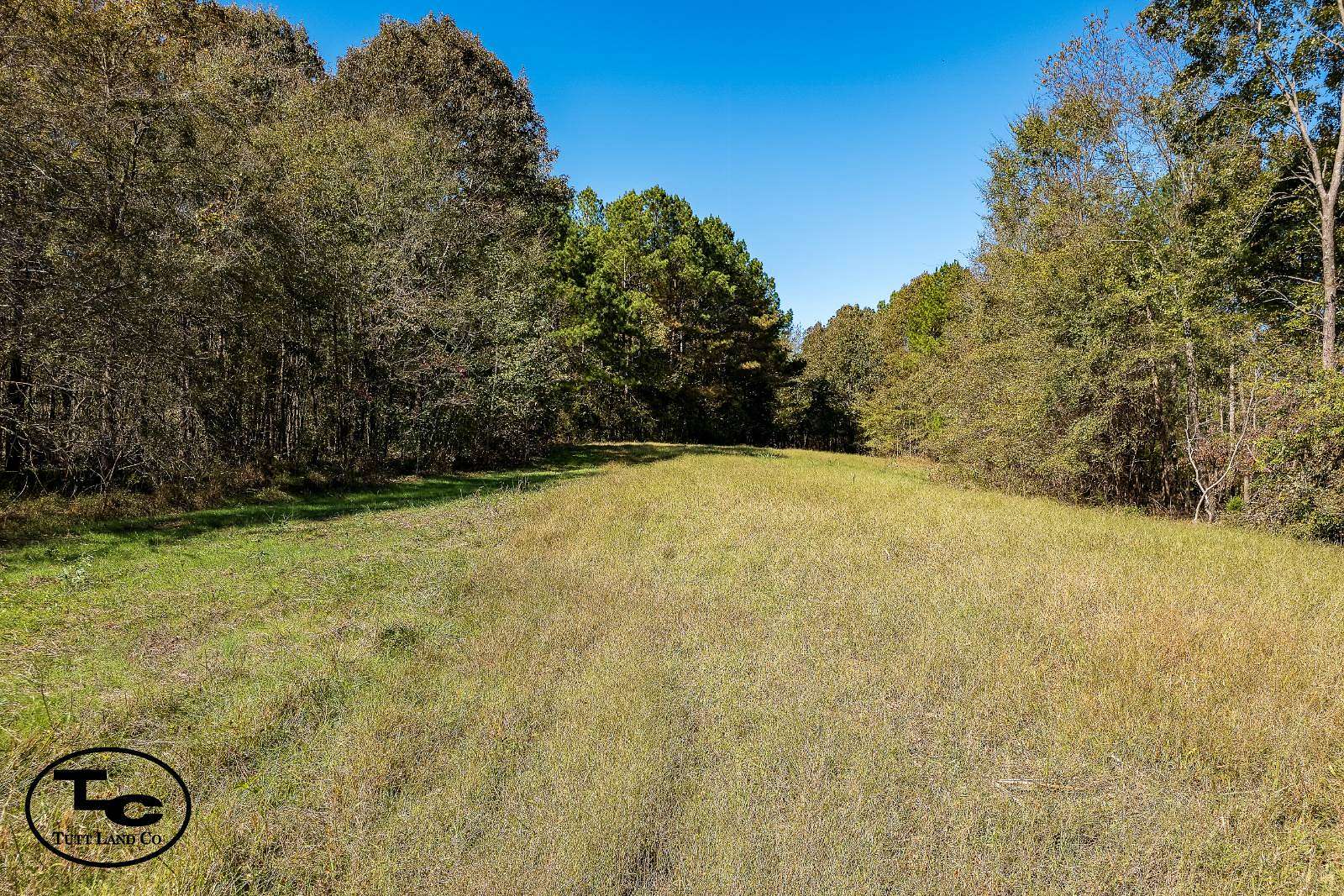 120 Acres of Land for Sale in Dresden, Tennessee