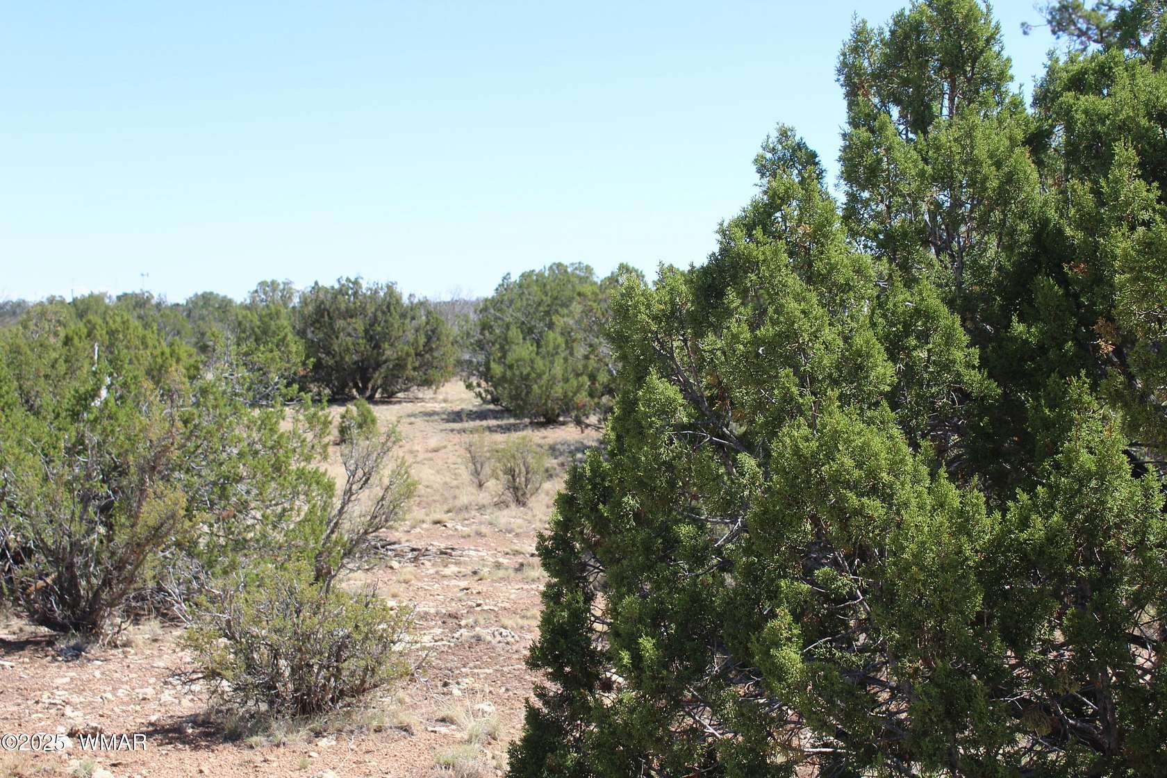 5 Acres of Residential Land for Sale in Heber, Arizona