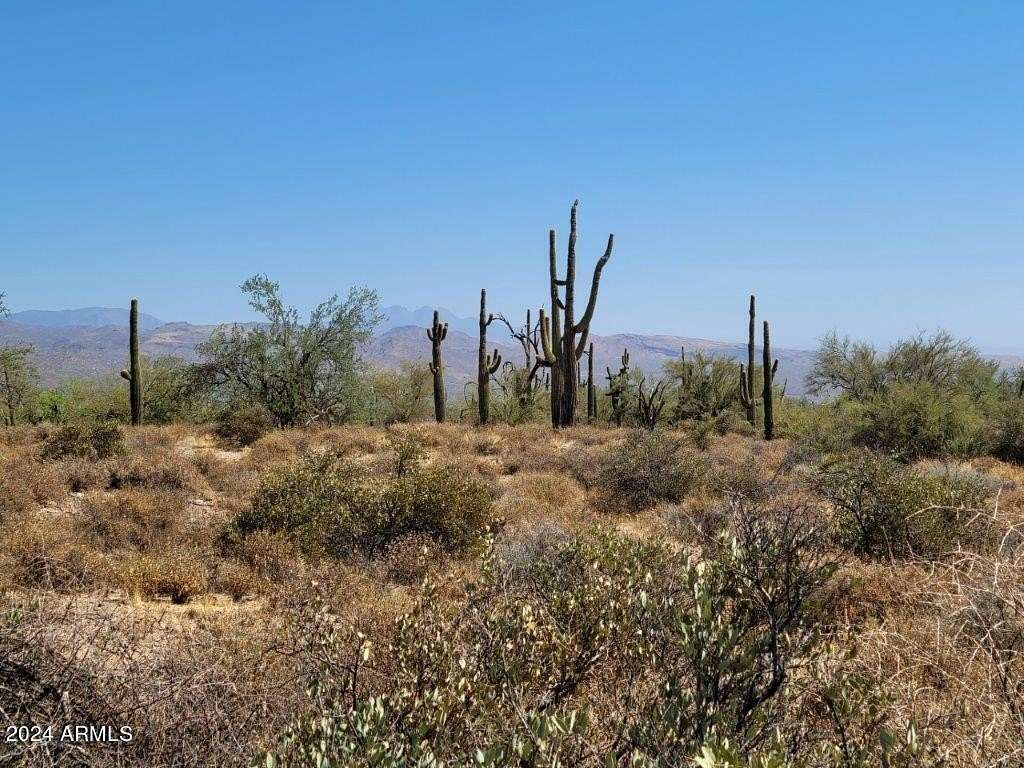 10 Acres of Land for Sale in Rio Verde, Arizona