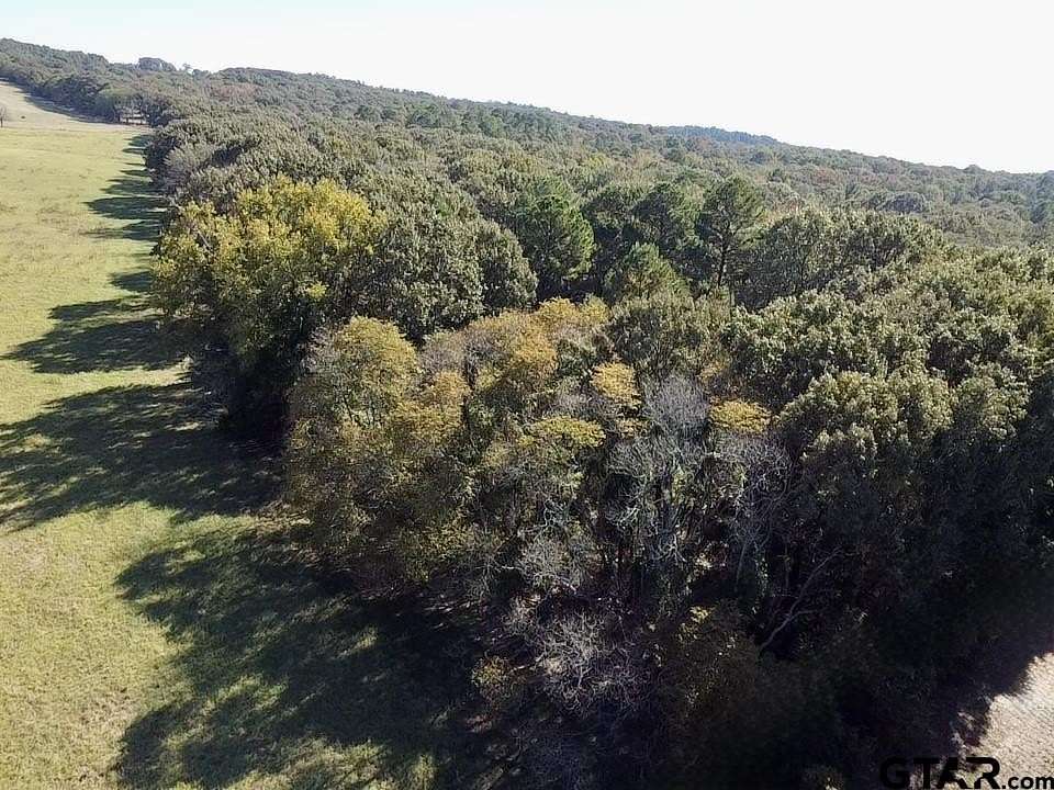 23.2 Acres of Recreational Land for Sale in Quitman, Texas