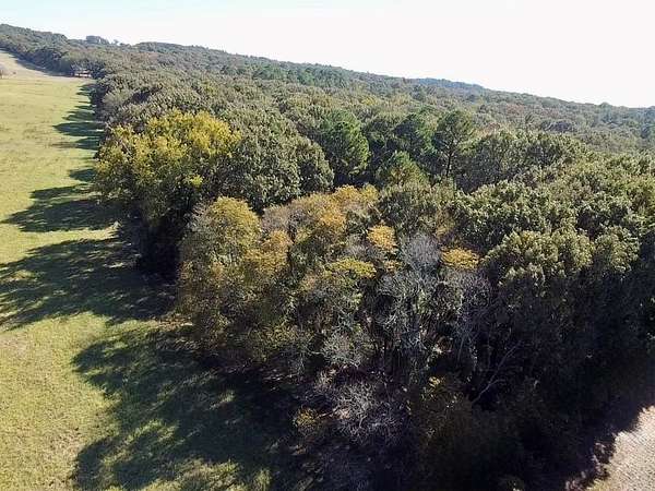 23.2 Acres of Recreational Land for Sale in Quitman, Texas