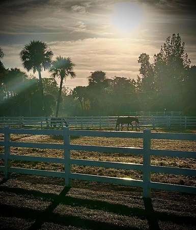 6.12 Acres of Land with Home for Sale in Loxahatchee Groves, Florida