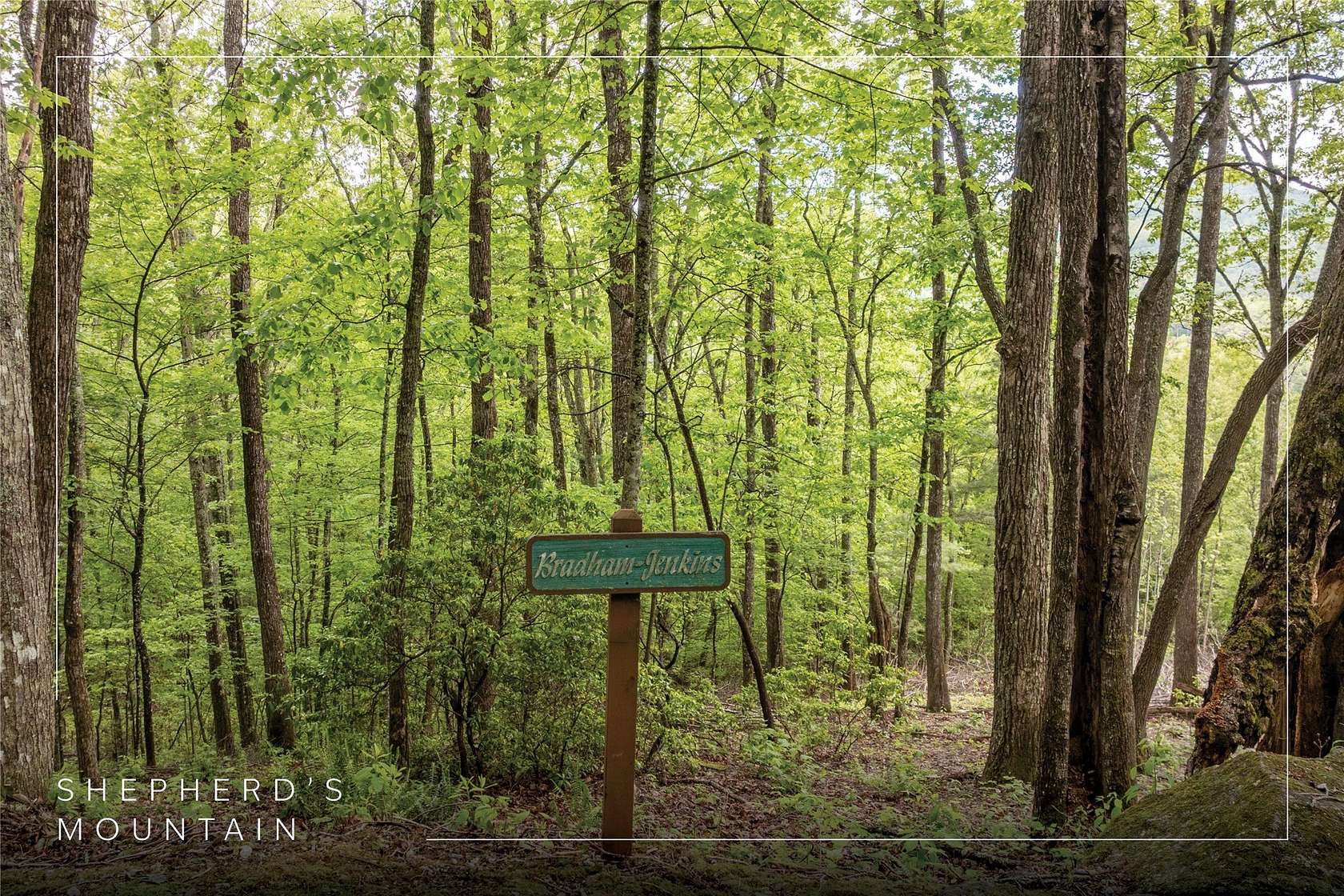 2.55 Acres of Residential Land for Sale in Cullowhee, North Carolina